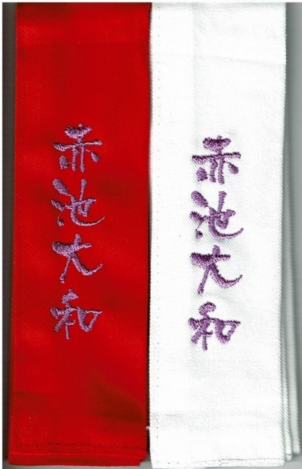 剣道タスキ　刺繍入り864円　一週間以内の発送サムネイル